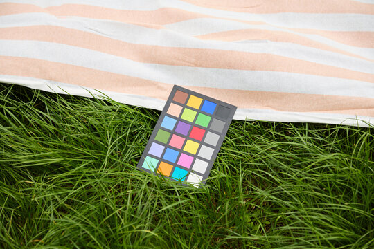 Color Checker Chart on Green Grass with Striped Blanket for Photography Calibration
