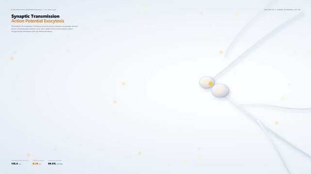 Dynamic 3D animation illustrating Synaptic Transmission and Action Potential Exocytosis in a pristine white scientific setting, showing nerve impulse signals pulsing across neural pathways for educ...
