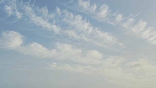 Mix between cirrus and cirrostratos in the blue sky