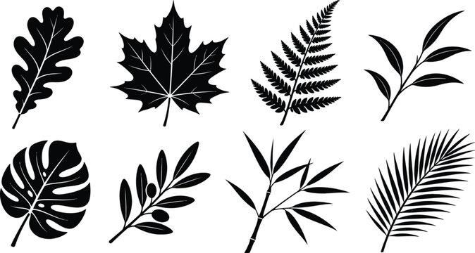 Botanical Tree Leaves and Tropical Foliage Black Silhouette Set
