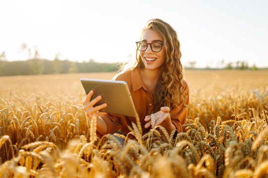 Young woman stands in wheat field with digital tablet in hands. Female farmer examines golden wheat stalks at sunset using the tablet. Technology and farming concept. Smart agriculture.