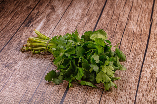 Fresh green cilantro bunch tied with twine on rustic wooden surface, natural lighting, shallow depth of field, vibrant herb for cooking