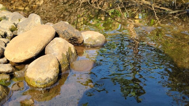 Smooth River Stones on Clear Stream Water Bed with Tree Reflection