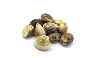 Closed up fresh baby clams. venus shell. shellfish. carpet clams. Food from nature. as raw food from the sea are the seafood ingredients. fresh clams isolated on white background © Pisan