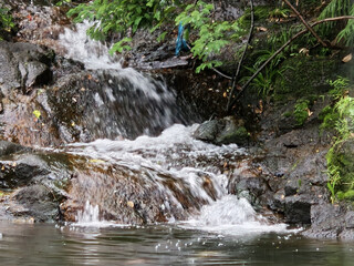Forest Waterfall Over Rocks in a Lush Green Landscape © VuDieu