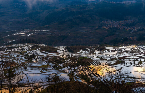 Aerial view of the terraced fields in Yuanyang, Yunnan Province
