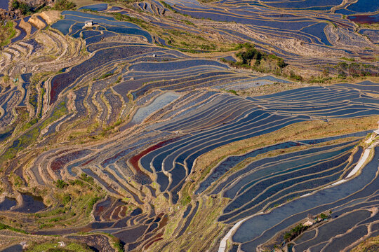 Aerial view of the terraced fields in Yuanyang, Yunnan Province