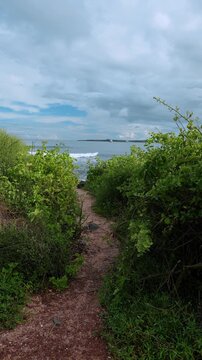 Narrow coastal path between shrubs leading toward the sea. A dirt trail opens onto water on the Galapagos Islands beneath a cloud covered sky.