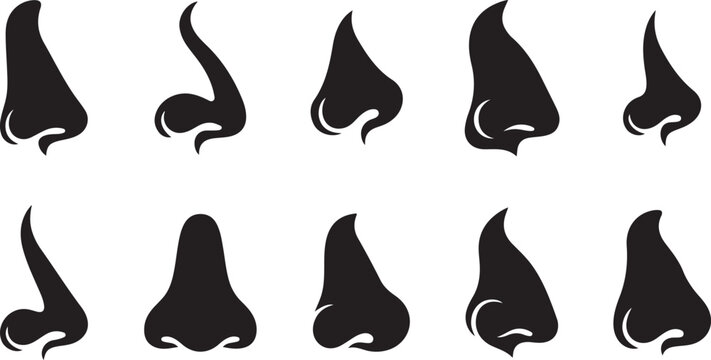 Black silhouettes set of human noses displaying various profiles and shapes on clean white background.