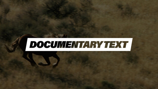 Documentary Text