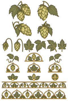 Art Nouveau Hops Botanical Elements and Decorative Borders