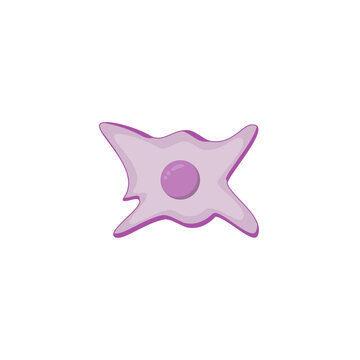 Fibroblast, a cell in the dermis, Connective tissue cell, Fibrosis. Simple structure of Human fibroblast cell. Vector illustration.