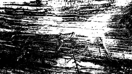 Fototapeta premium Black and white distressed grunge wood bark texture with high contrast linear pattern