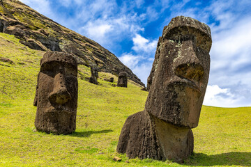 Moai Tukuturi at Rano Rarakuon easter island. Beautiful Moai Statues with beautiful blue sky in the background and green gras in the foreground  © Sven Taubert