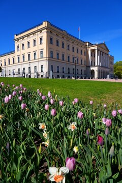 Royal Palace (Slottet in Norwegian). Landmark architecture in Oslo, Norway. Focus on the flowers.