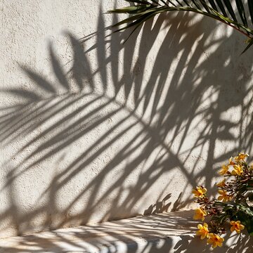Palm leaf shadow on beige concrete wall with yellow tropical flower bush