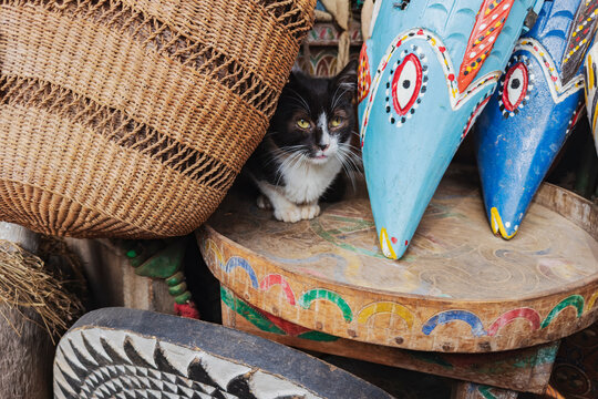 Cat resting among woven basket and painted masks