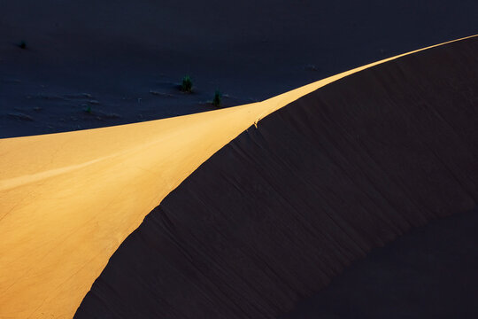 Dune pattern at Sunset in chaggaga sand dunes, Morocco