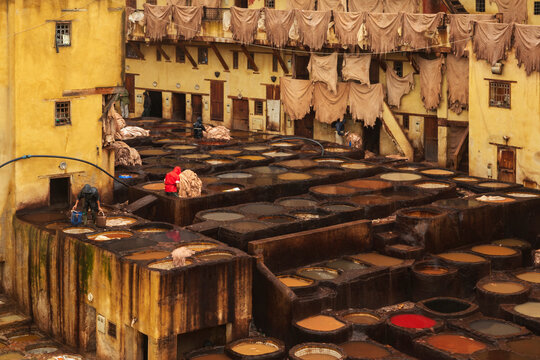 Chouara Tannery workers processing leather