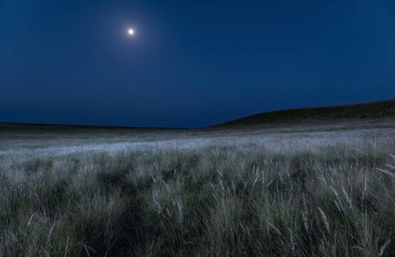 Moon over a grassy meadow at night with frosty blue tones