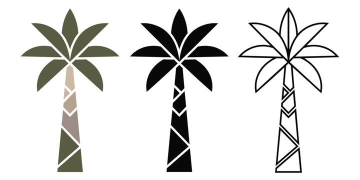 Three stylized palm trees one colored green one black silhouette one outline with tropical illustration silhouette stylized isolated botanical