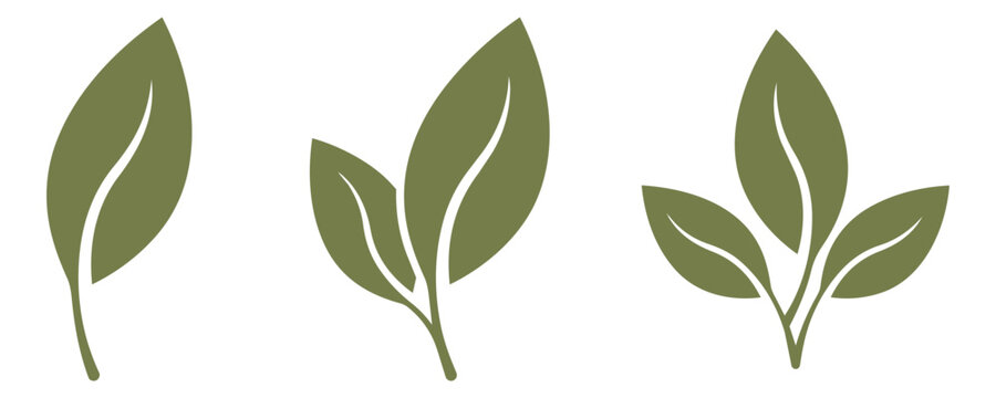 Olive green leaf icons natural and organic concept illustration collection contemporary minimalist creative isolated background composition