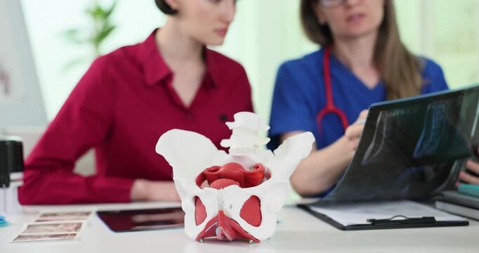 Female doctor reviews pelvic health with woman during consultation. Physician uses anatomy model and medical image to explain condition in clinic