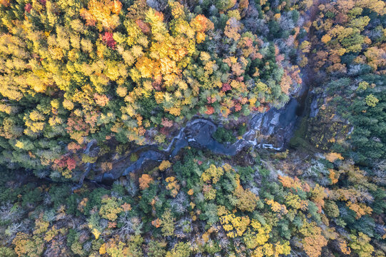 Robert H. Treman State Park in Autumn - New York Finger Lakes.  Lucifer Falls