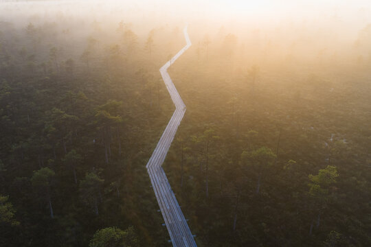 Aerial drone view of a winding wooden boardwalk trail through a misty bog at sunrise in Omma raba, Estonia.