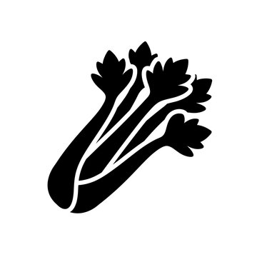Black celery vegetable icon isolated on transparent background for healthy eating organic food market cooking recipes nutrition and vegetarian diet illustration.