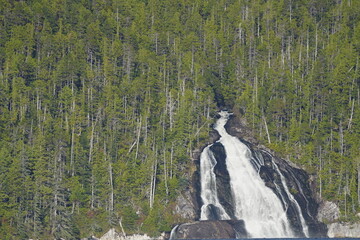 Waterfall flowing through dense evergreen forest © CaptureQueen
