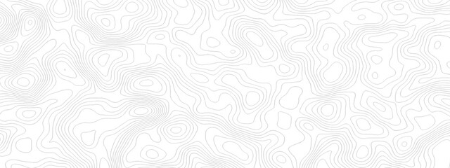 topography white background and black line wireframe isoline location diagram world map texture design.  © MOHAMMAD