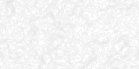 topography white background and black line wireframe isoline location diagram world map texture design.  © MOHAMMAD