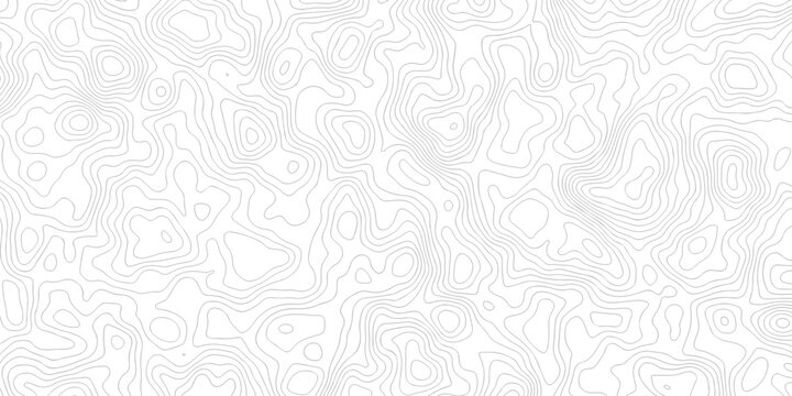 topography white background and black line wireframe isoline location diagram world map texture design.	