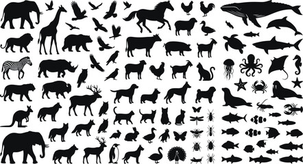 Fototapeta premium Black and white wildlife animal bird fish silhouette collection for design