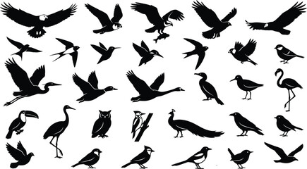 Fototapeta premium Black and white flying bird silhouettes collection for nature designs