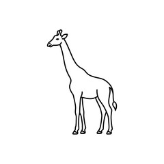Giraffe standing silhouette line art drawing isolated on transparent background for wildlife education safari tourism branding and nature conservation project assets. © workdesgin