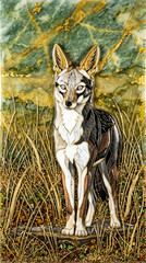 Fototapeta premium Tactile Luxury Masterpieces - Cloisonné Inlaid Marble Jackal Standing In Golden Wire Grass Against Green Jade Stone Relief Background.