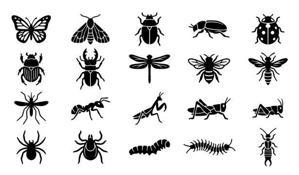 Detailed Bug Insect Butterfly and Beetle Black Glyph Silhouette Vector Set