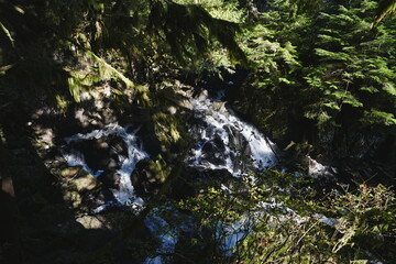 Rocky forest stream with sunlight and green foliage © CaptureQueen