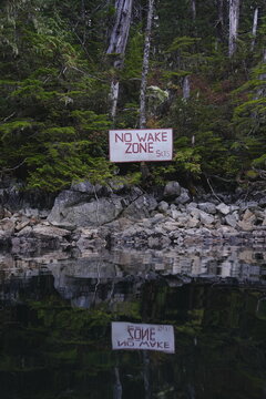 Small warning sign among mossy forest rocks