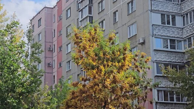 Autumn tree in vibrant yellow and green. Apartment blocks stand behind it. The sky shows gentle clouds above. Residents may be at home, unaware. Perfect for urban autumn scenes