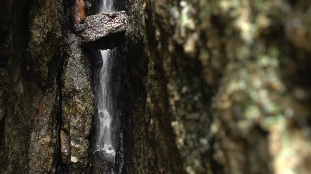 Water flowing between crack in mountain
