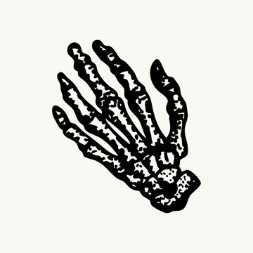 Hand-drawn elements depicting human metacarpal and finger bones.