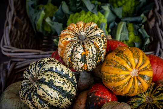 A selection of winter squash displayed for sale on a market stall