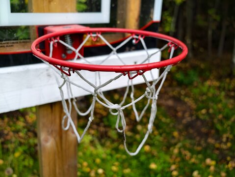 A close up of a basketball hoop in a yard, great for sports or backyard scenes