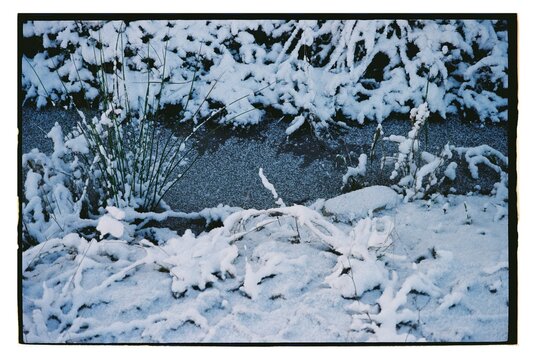 A frozen stream surrounded by snow-covered grass