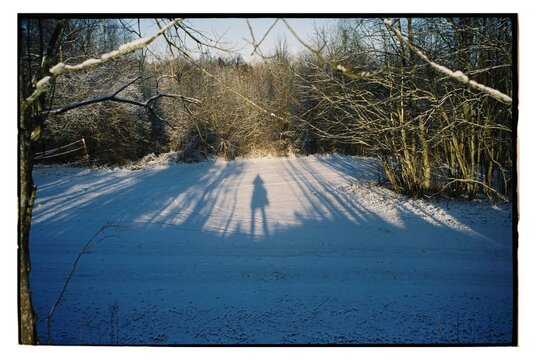 A shadow of a person on a snowy path in a winter landscape