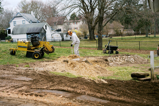 Tree stump grinding in a residential yard in massachusetts spring time