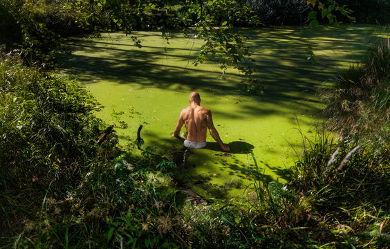 Person in Nature Green Water Surrounded Sulitude